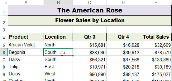 Removing Duplicates in Excel - data