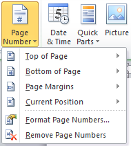 page number roman and numeric in word