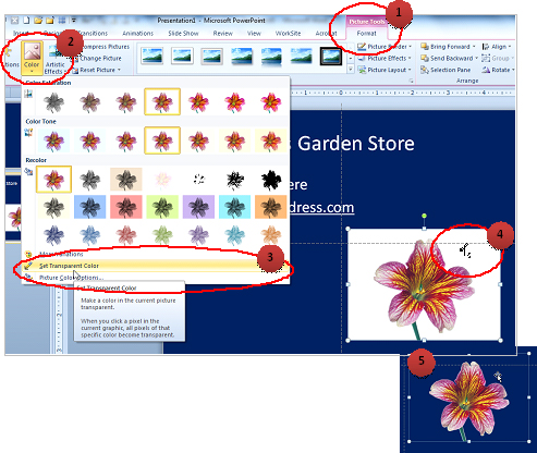 powerpoint-tip-making-one-color-transparent-in-a-jpeg