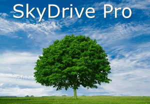 skydrive_pro
