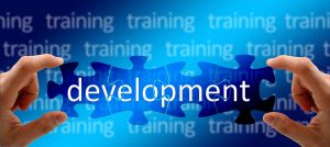 developing a training program